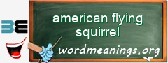 WordMeaning blackboard for american flying squirrel